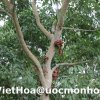 Tây Ninh Xuân Quý Tỵ